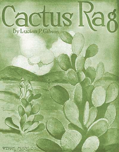 cactus rag cover