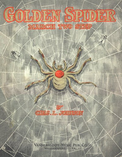 golden spider rag cover