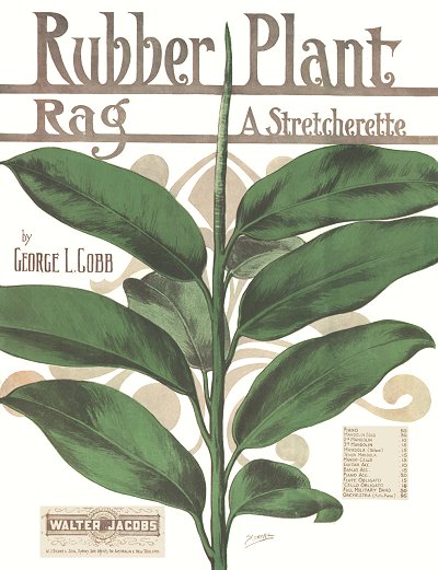 rubber plant rag cover