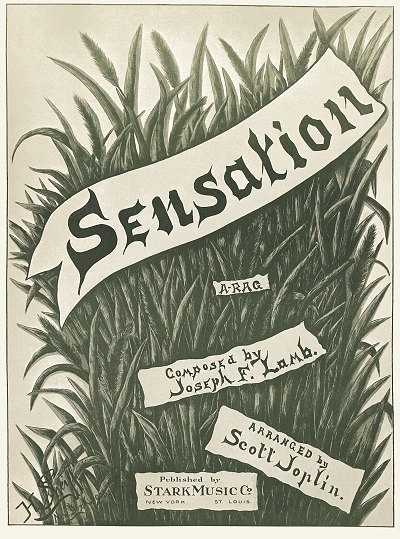 sensation - a rag