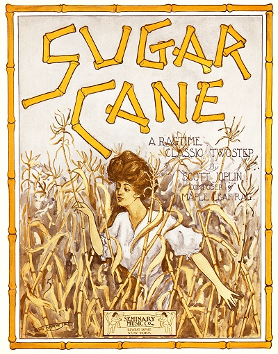 sugar cane rag cover