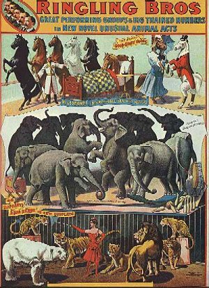 Click to link to the Barnum and Bailey web site. bailey and ringling circus poster